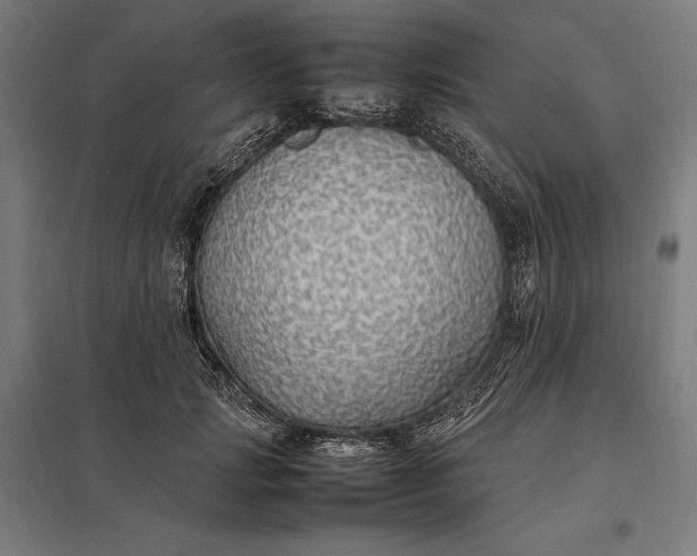 X0000097900749200803281339