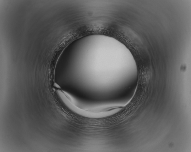 X0000097900750200803281339