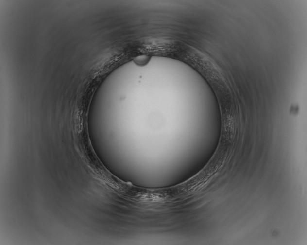 X0000097900751200803281339