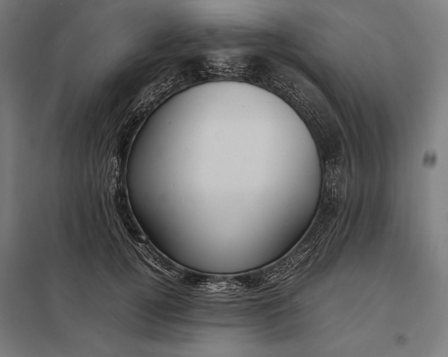 X0000097900752200803281339