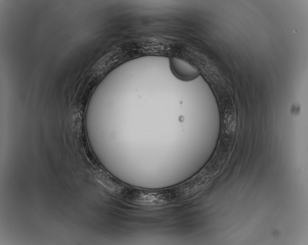 X0000097900753200803281339