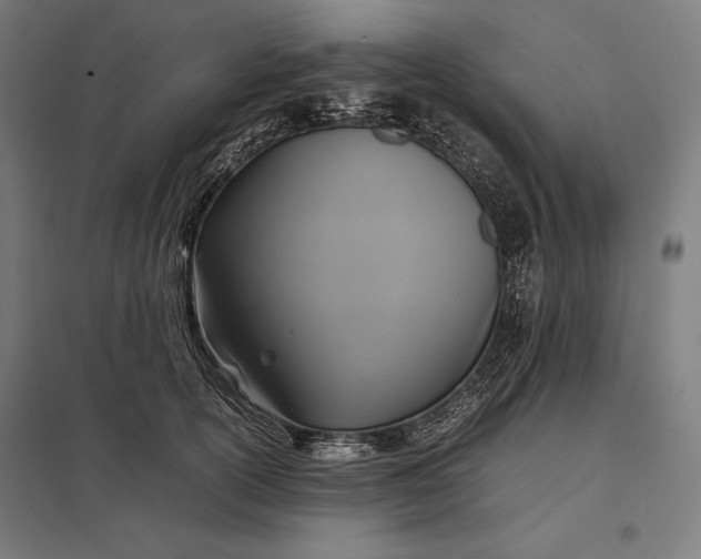 X0000097900754200803281339