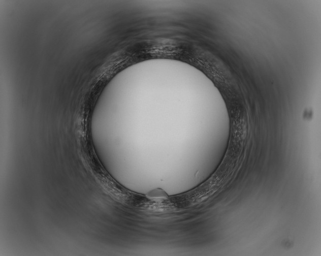 X0000097900755200803281339