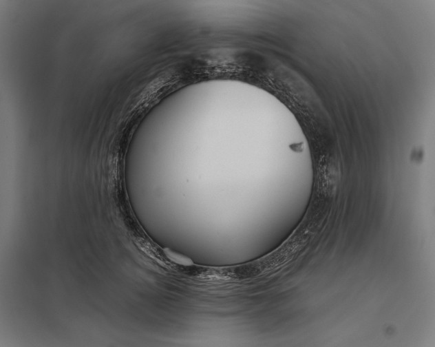 X0000097900756200803281339