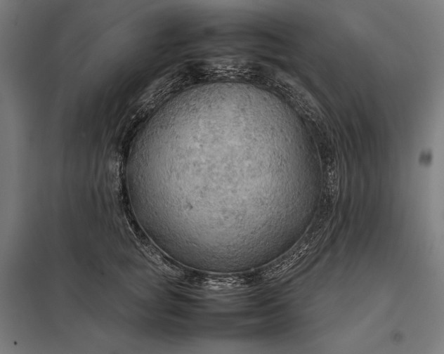 X0000097900757200803281339