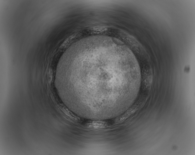 X0000097900758200803281339