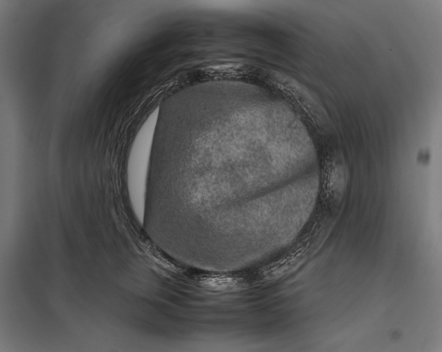 X0000097900759200803281339