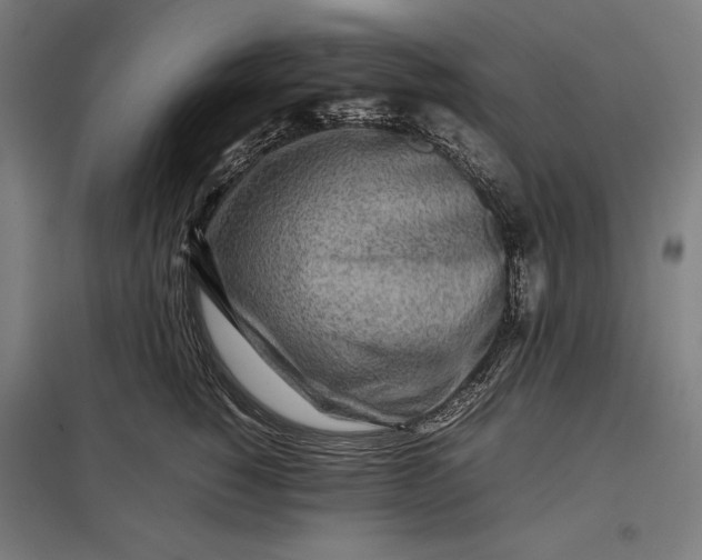 X0000097900760200803281339