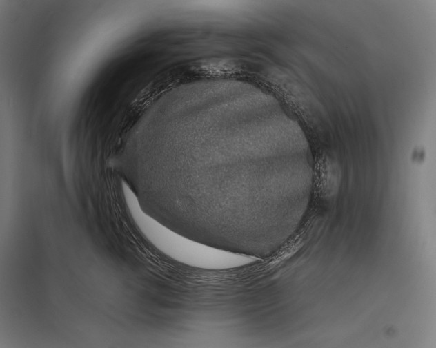 X0000097900762200803281339