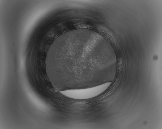 X0000097900763200803281339