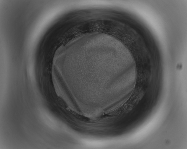 X0000097900766200803281339