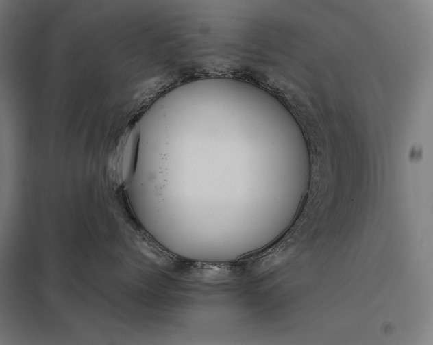 X0000097900768200803281339