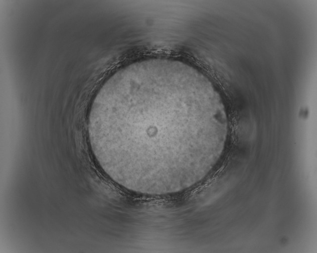 X0000097900769200803281338