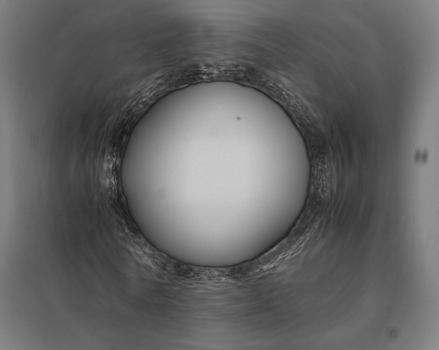 X0000097900770200803281338