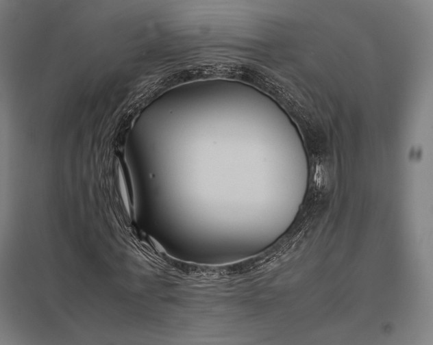 X0000097900771200803281338