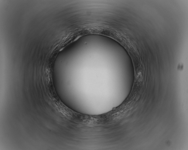 X0000097900772200803281338