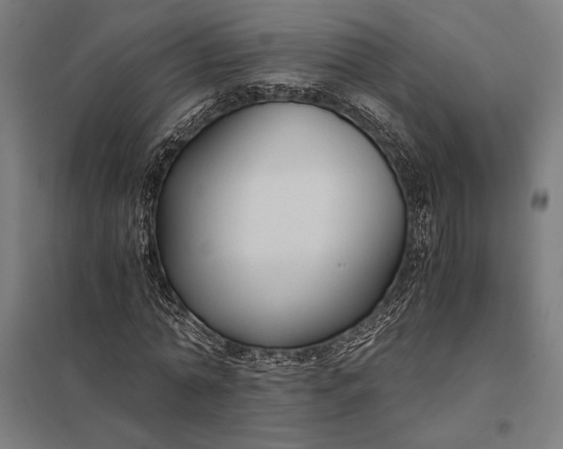 X0000097900774200803281338