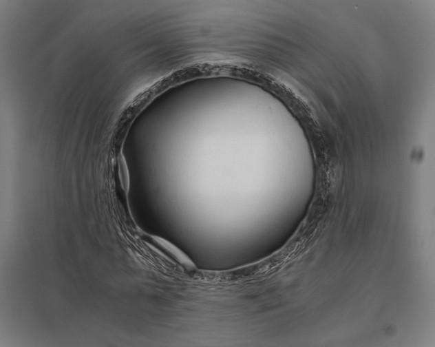 X0000097900775200803281338