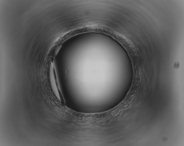 X0000097900776200803281338