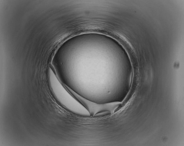 X0000097900777200803281338