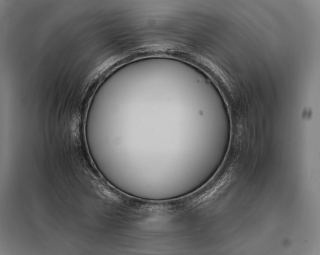 X0000097900778200803281338