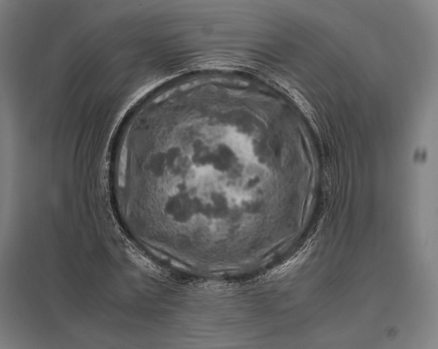 X0000097900779200803281338