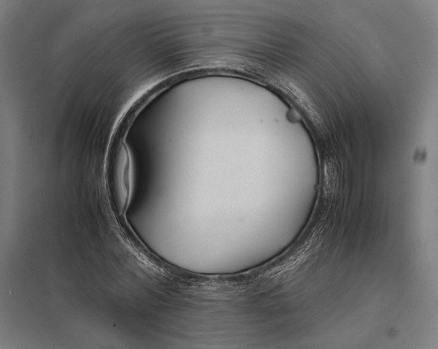 X0000097900780200803281338