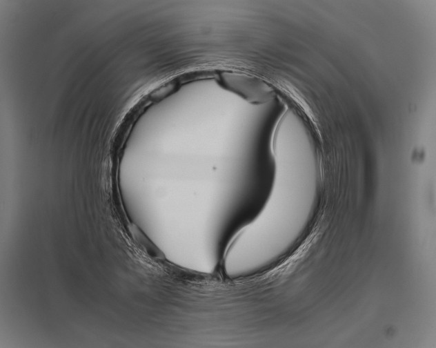 X0000097900781200803281338