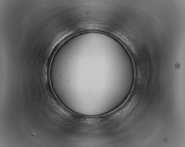 X0000097900782200803281338