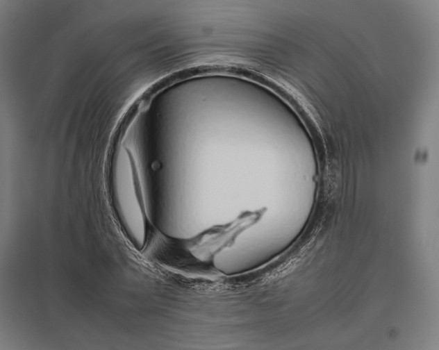 X0000097900783200803281338