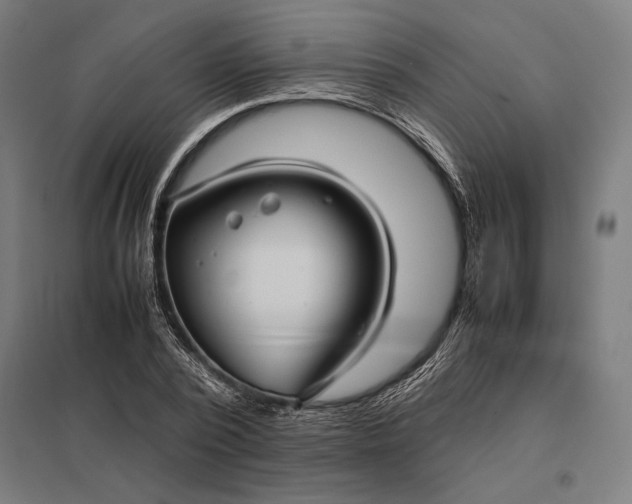 X0000097900784200803281338