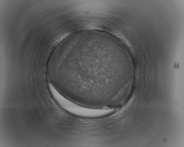 X0000097900785200803281338