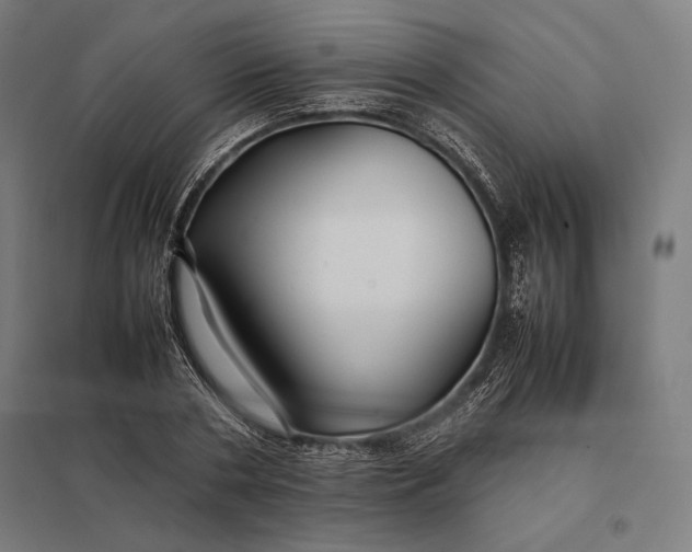 X0000097900786200803281338