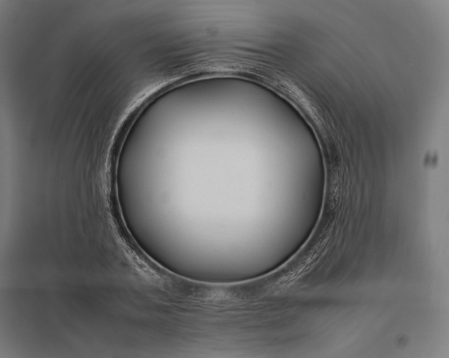 X0000097900787200803281338