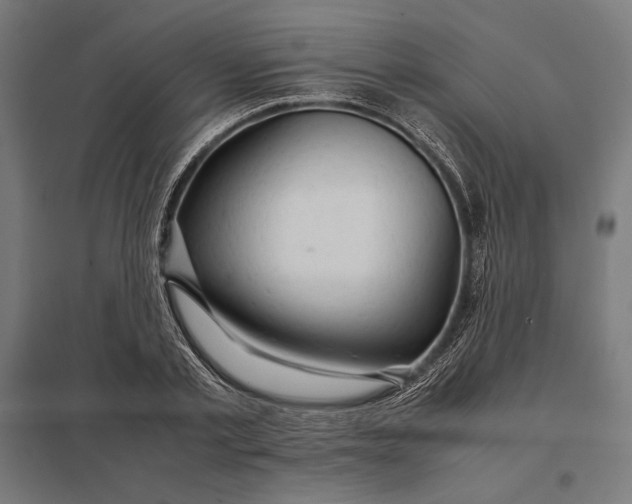 X0000097900789200803281338