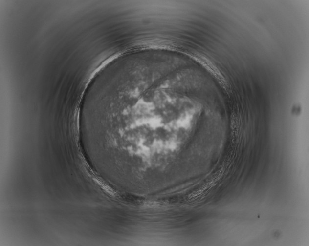 X0000097900790200803281338