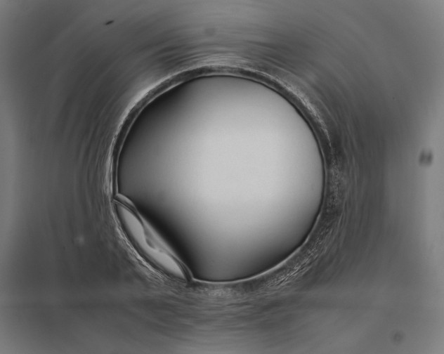 X0000097900791200803281338