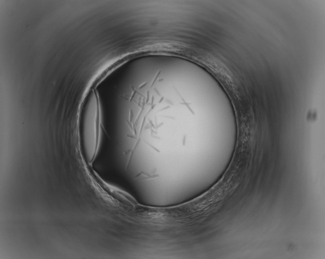 X0000097900792200803281338