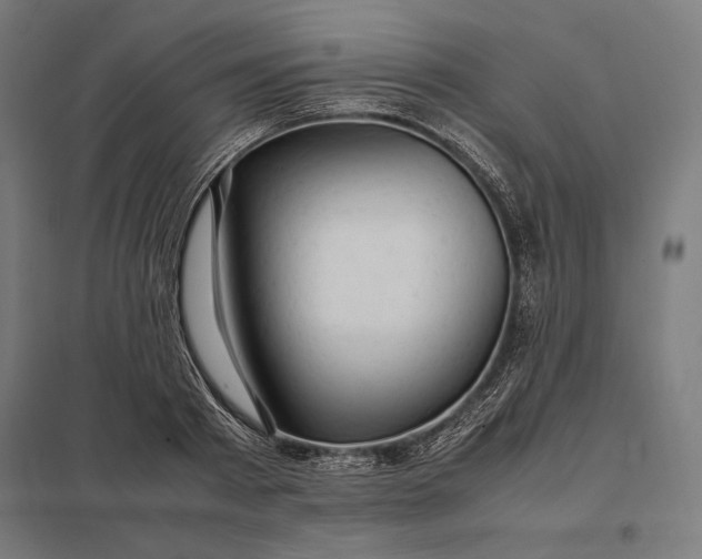 X0000097900793200803281338