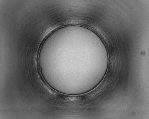 X0000097900794200803281338