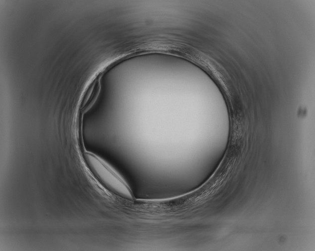 X0000097900795200803281338