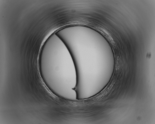 X0000097900796200803281338