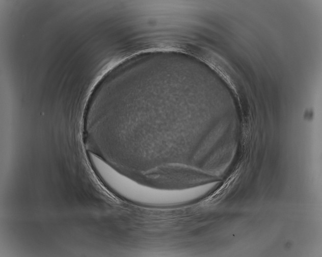 X0000097900797200803281338