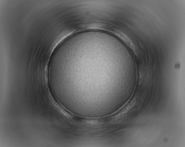 X0000097900798200803281338