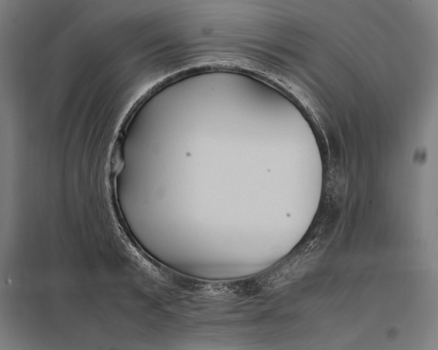 X0000097900799200803281338