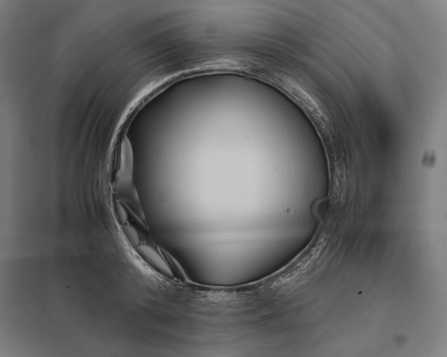 X0000097900800200803281338