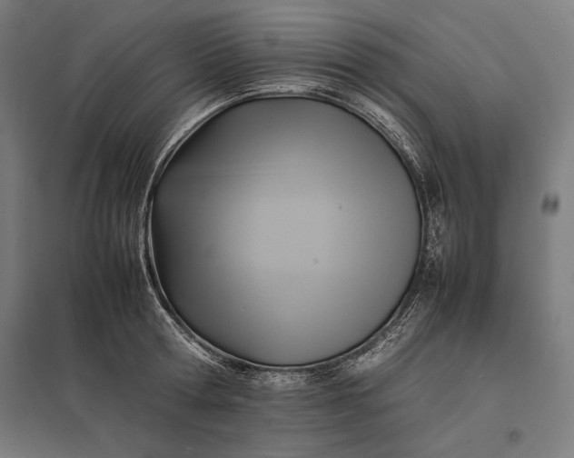 X0000097900802200803281338