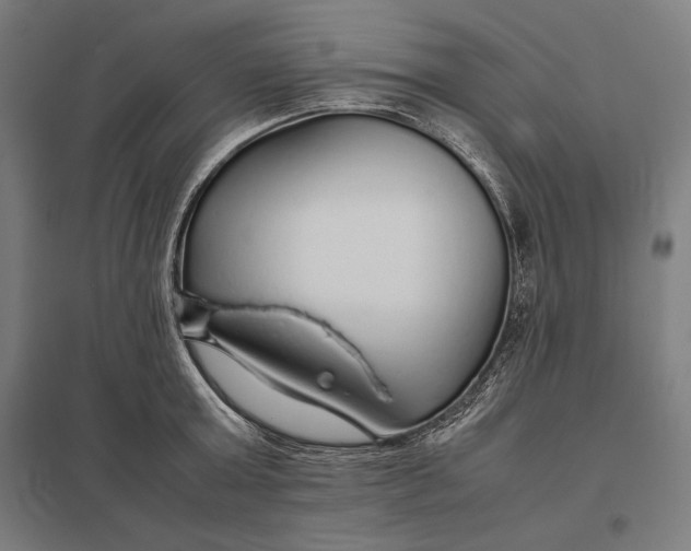 X0000097900803200803281338