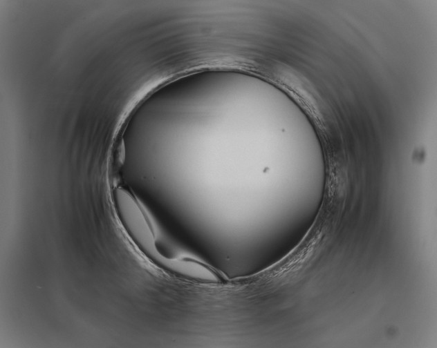 X0000097900804200803281338