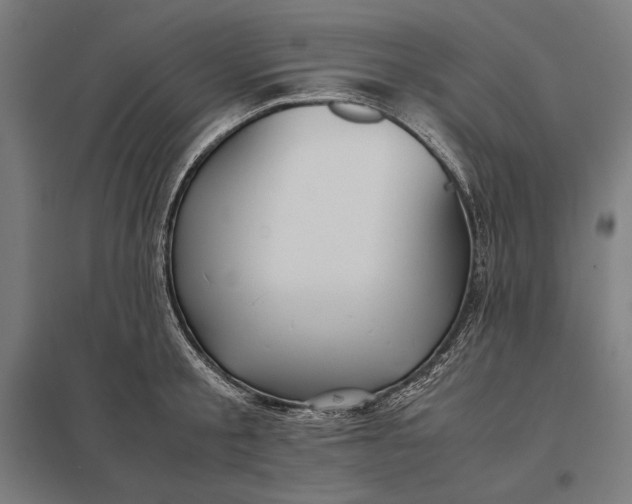 X0000097900805200803281338